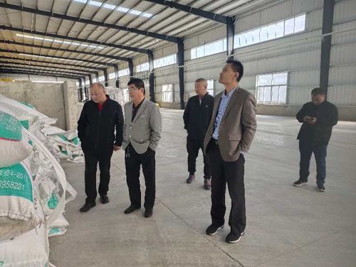 �͑�(h��)��(l��i)�S���^��Ƭ